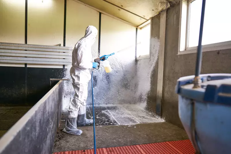 cleaning.stable.249 - 