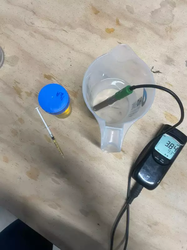 IMG-20251126-WA0007 - 