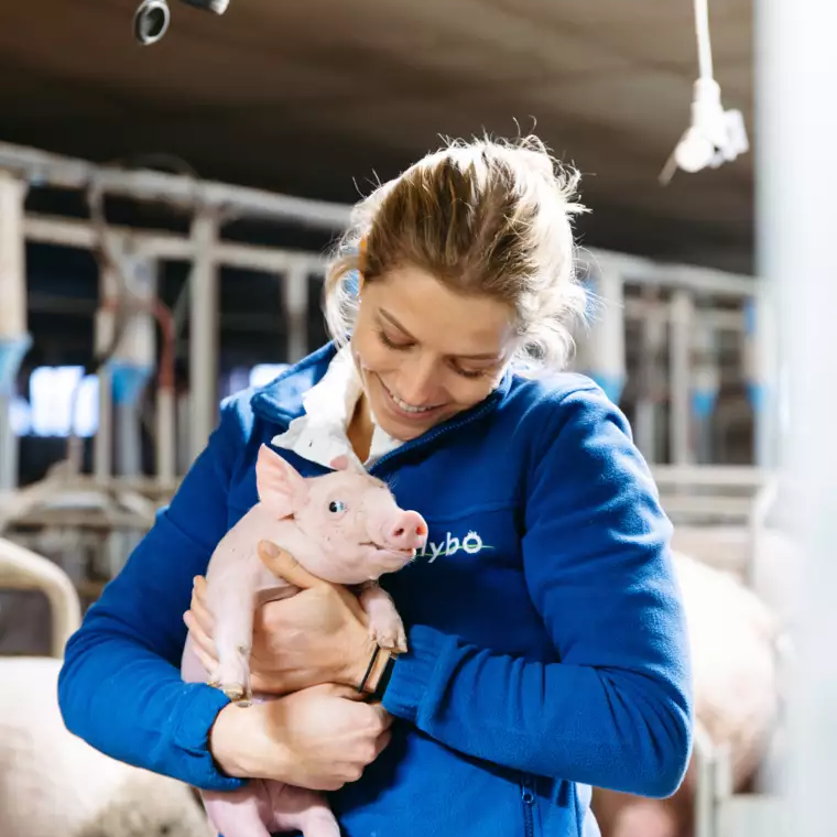 Ontdek de belangrijkste thema’s binnen bioveiligheid in de varkenshouderij. Van drinkwater- en stalhygiëne tot ongediertebestrijding, reiniging, ontsmetting en bezoekers- en transporthygiëne. Een doordachte aanpak helpt de infectiedruk te beperken en draagt bij aan gezonde dieren en optimale bedrijfsresultaten.