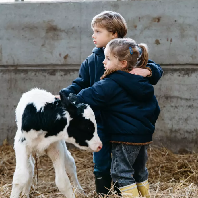 Bioveiligheid in de melkveehouderij Ontdek de belangrijkste thema’s binnen bioveiligheid in de melkveehouderij. Van drinkwater- en stalhygiëne tot reiniging, ontsmetting, klauw- en uierhygiëne en ongediertebestrijding. Een doordachte aanpak helpt de infectiedruk te beperken en draagt bij aan gezonde koeien, een goede melkproductie en optimale bedrijfsresultaten.