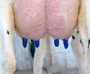 UCOCAREONEDIP TOEPASSING.webp