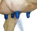 KENOCIDIN SPRAY.webp