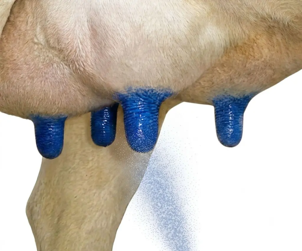 KENOCIDIN SPRAY.webp