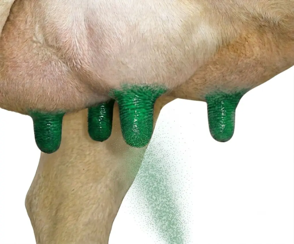 UCODERM 7 SPRAY TOEPASSING 2.webp