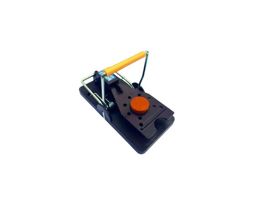 NARA BLOC MUIZENVAL.webp