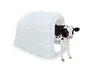 KALVERHUT TOEPASSING.webp