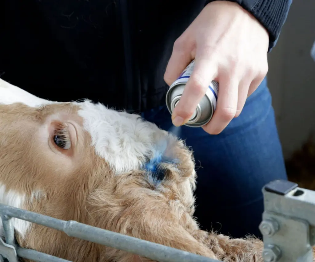 AGRIVET BLUESPRAY TOEPASSING 2.0.webp