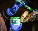 INTRA HOOFFIT GEL TOEPASSING.webp