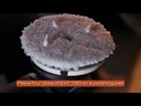 youtube - [Video]