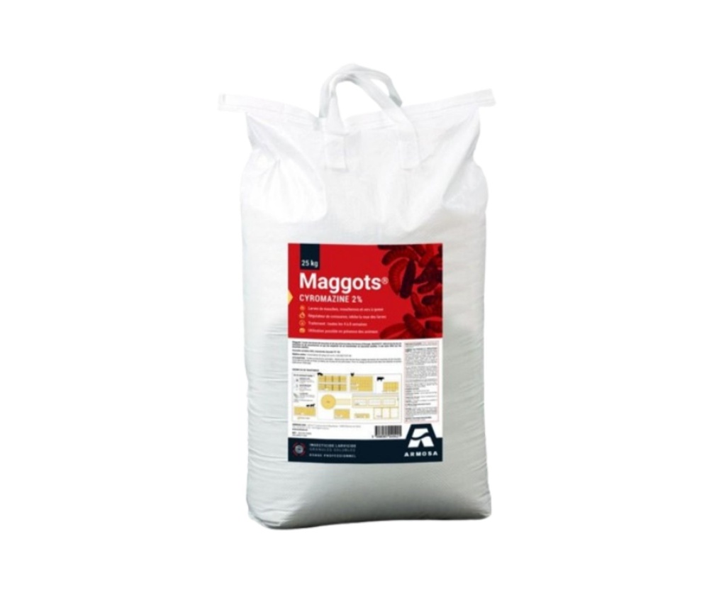 MAGGOTS